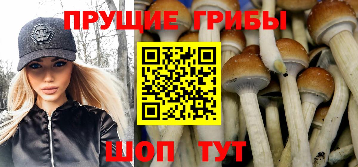 Нарьян-Мар  Галлюциногенные грибы Psilocybine cubensis  Вход с VPN 
